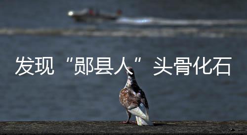 “郧县人”3号头骨化石初露