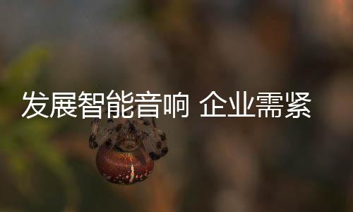 音响企业万不能急于求成