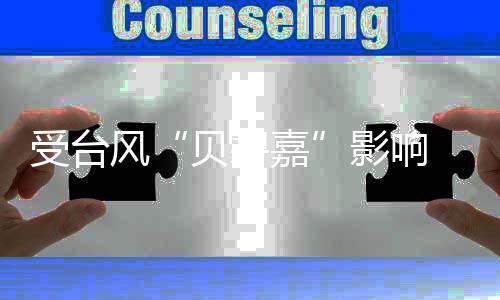 有航两大机场所有航班取消
