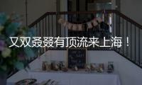 又双叒叕有顶流来上海！商场5层全部挤满，有人凌晨3点到门口排队.......