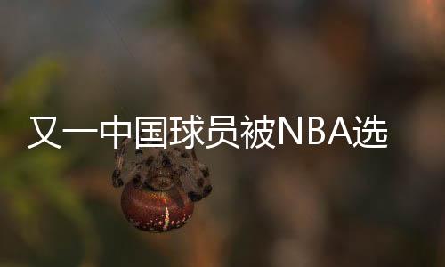 并在上赛季成功进入NBA后