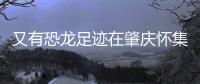 又有恐龙足迹在肇庆怀集被发现�！发现者为大三学生