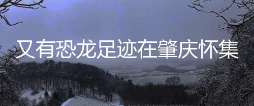 现发现者学生6月12日