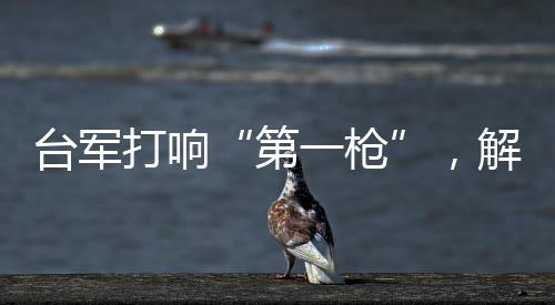 把台湾地区推向冲突深渊