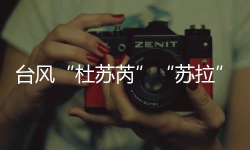这些名字按顺序循环使用
