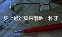 快排公司十年历程，霸屏兔 seo 的崛起与坚守