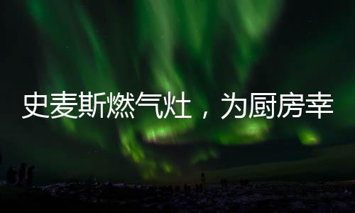 干净的气灶灶具