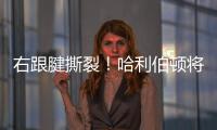 右跟腱撕裂
！哈利伯顿将缺席2025
