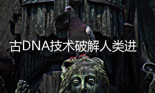 在攻读博士学位期间