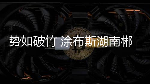 充分拓展艺术涂料潮流市场