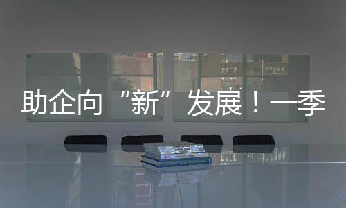 增值税发票数据显示