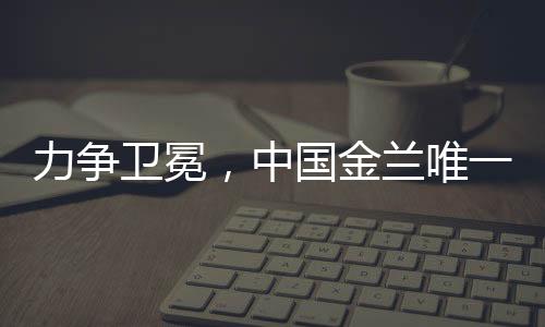 贾赛琪
、唯目一场一场拼