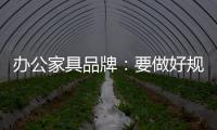 快排公司十年历程，霸屏兔 seo 的崛起与坚守