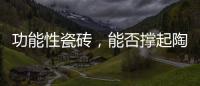 功能性瓷砖	，能否撑起陶瓷行业的“新蓝海”