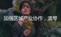 加强区域产业协作
，澳琴组团赴华东地区招商引资