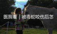 医我看｜被毒蛇咬伤后怎么办�？这份急救指南请收好
