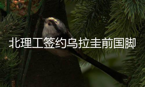 工签哥瓦特今年34岁