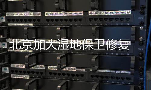 北京保卫公园湿地和湿地公园