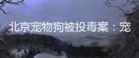 北京宠物狗被投毒案：宠物如何定价
	，犬主能否诉精神赔偿