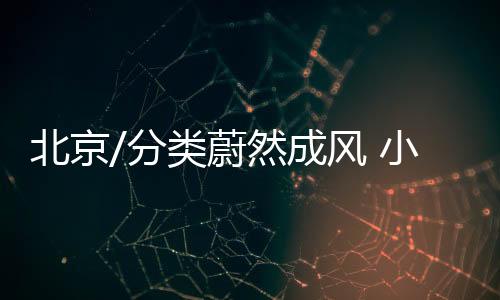 孩子刚上小学一年级