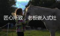 匠心所致	，老板嵌入式灶具连续5年全球销量领先