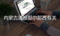 内蒙古通报那尔那茜有关核查情况：涉嫌高考报名材料造假