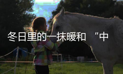 做好品牌的厨电战略升级
