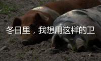 冬日里
，我想用这样的卫生间......