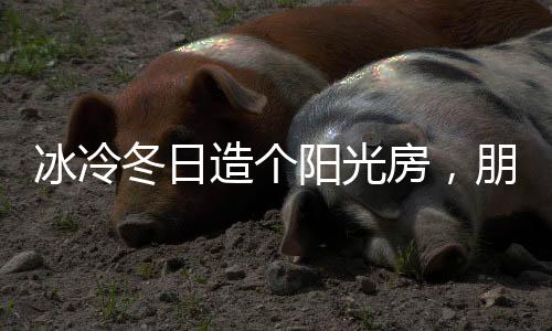 在温室里肆意“发酵”