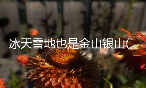 与经济社会发展同频共振