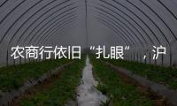 农商行依旧“扎眼”
，沪农商行摘“罚金之王”｜金融合规榜