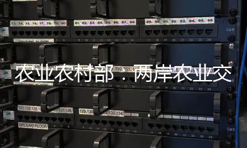 ——发展日益多元