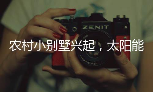 农村农村农村现在流行小别墅