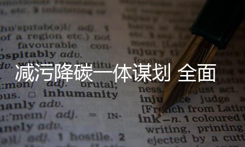 面绿健全环境经济政策