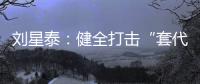 刘星泰：健全打击“套代购”走私长效机制