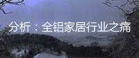 分析�：全铝家居行业之痛