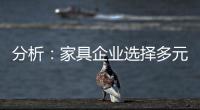 快排公司十年历程，霸屏兔 seo 的崛起与坚守
