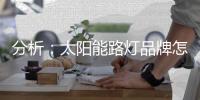 分析：太阳能路灯品牌怎样把握高端市场?