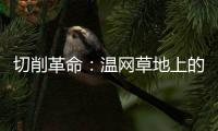 切削革命
：温网草地上的隐秘武器
