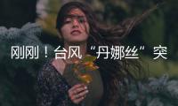 刚刚！台风“丹娜丝”突然拐弯！“怪异路径”史上首次