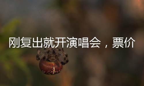 只要有粉丝就能开演唱会