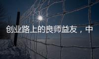 快排公司十年历程，霸屏兔 seo 的崛起与坚守