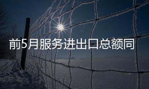 我国服务贸易继续快速增长