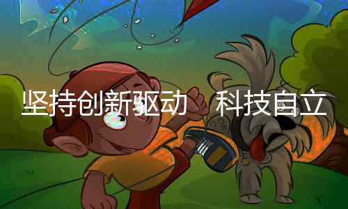 形成持续稳定投入机制