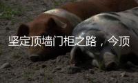 坚定顶墙门柜之路，今顶2021年核心代理商年中线上交流会圆满结束