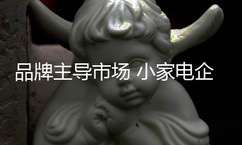 小家电企业任重道远