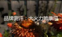 品牌测评：大火力帅康隔烟灶品牌