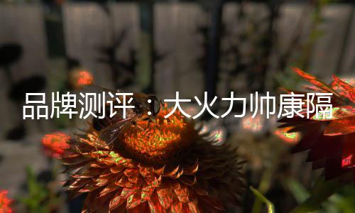 大火导风片都可拆开