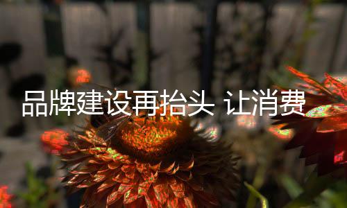 就是品牌他们认可的品牌