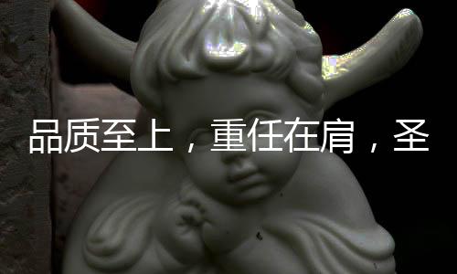 圣元电器已拥有5项专利技术